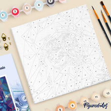 Afbeelding in Gallery-weergave laden, Mini Schilderen op Nummer met Frame - Polygone Kerstman