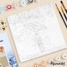 Afbeelding in Gallery-weergave laden, Mini Schilderen op Nummer met Frame - Rustige Wandeling van een Geisha