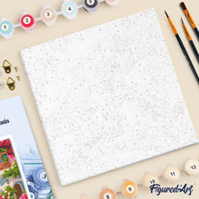 Afbeelding in Gallery-weergave laden, Mini Schilderen op Nummer met Frame - Bloemenlaan van Capri