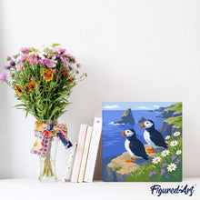 Afbeelding in Gallery-weergave laden, Mini Schilderen op Nummer met Frame - Papegaaiduiker bij de oceaankliffen