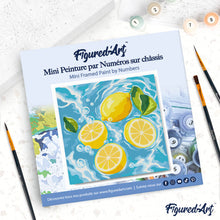 Afbeelding in Gallery-weergave laden, Mini Schilderen op Nummer met Frame - Citrusbries