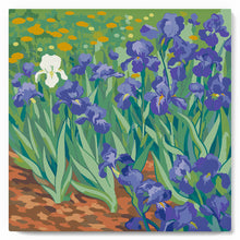 Afbeelding in Gallery-weergave laden, Mini Schilderen op Nummer met Frame - Van Gogh - Iris