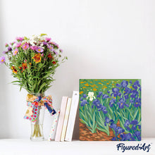 Afbeelding in Gallery-weergave laden, Mini Schilderen op Nummer met Frame - Van Gogh - Iris
