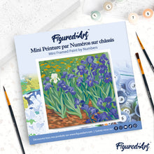 Afbeelding in Gallery-weergave laden, Mini Schilderen op Nummer met Frame - Van Gogh - Iris