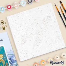 Afbeelding in Gallery-weergave laden, Mini Schilderen op Nummer met Frame - Schildpad