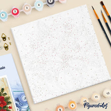 Afbeelding in Gallery-weergave laden, Mini Schilderen op Nummer met Frame - Kerststerren