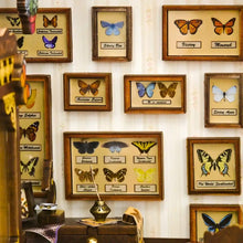 Afbeelding in Gallery-weergave laden, Book Nook - Vlinderhuis