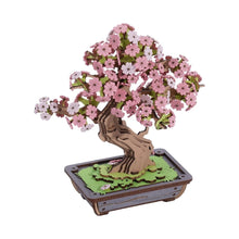 Afbeelding in Gallery-weergave laden, 3D Puzzel - Sakura Bonsai