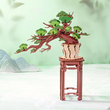 Afbeelding in Gallery-weergave laden, 3D Puzzel - Altijdgroene Pijnboom Bonsai