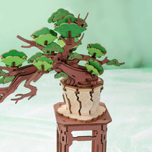 Afbeelding in Gallery-weergave laden, 3D Puzzel - Altijdgroene Pijnboom Bonsai