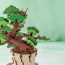 Afbeelding in Gallery-weergave laden, 3D Puzzel - Altijdgroene Pijnboom Bonsai