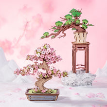 Afbeelding in Gallery-weergave laden, 3D Puzzel - Altijdgroene Pijnboom Bonsai