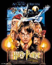 Afbeelding in Gallery-weergave laden, Schilderen op Nummer - Harry Potter en de Steen der Wijzen - Poster