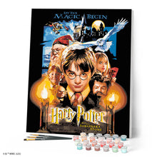 Afbeelding in Gallery-weergave laden, Schilderen op Nummer - Harry Potter en de Steen der Wijzen - Poster