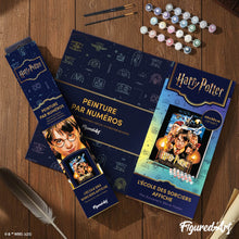 Afbeelding in Gallery-weergave laden, Schilderen op Nummer - Harry Potter en de Steen der Wijzen - Poster