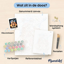 Afbeelding in Gallery-weergave laden, Schilderen op Nummer - Harry Potter en de Steen der Wijzen - Poster