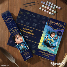 Afbeelding in Gallery-weergave laden, Schilderen op Nummer - Harry Potter en de Steen der Wijzen - Poster II