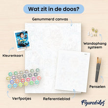 Afbeelding in Gallery-weergave laden, Schilderen op Nummer - Harry Potter en de Steen der Wijzen - Poster II