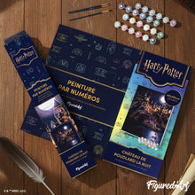 Afbeelding in Gallery-weergave laden, Schilderen op Nummer - Harry Potter - Hogwarts kasteel bij nacht
