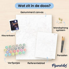 Afbeelding in Gallery-weergave laden, Schilderen op Nummer - Harry Potter - Hogwarts kasteel bij nacht