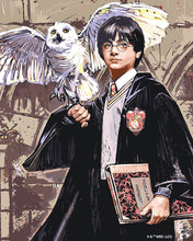 Afbeelding in Gallery-weergave laden, Schilderen op Nummer - Harry Potter en Hedwig