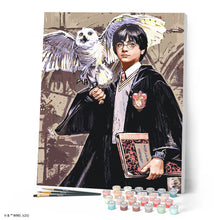 Afbeelding in Gallery-weergave laden, Schilderen op Nummer - Harry Potter en Hedwig