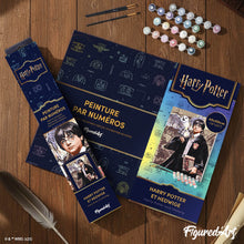 Afbeelding in Gallery-weergave laden, Schilderen op Nummer - Harry Potter en Hedwig