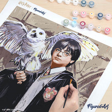Afbeelding in Gallery-weergave laden, Schilderen op Nummer - Harry Potter en Hedwig