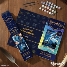 Afbeelding in Gallery-weergave laden, Schilderen op Nummer - Harry Potter - Vlucht vanuit Engeland naar Hogwarts