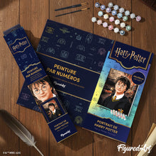 Afbeelding in Gallery-weergave laden, Schilderen op Nummer - Portret van Harry Potter