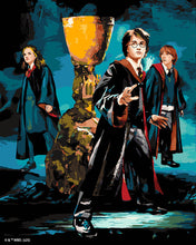 Afbeelding in Gallery-weergave laden, Schilderen op Nummer - Harry Potter - Het Trio en de Vuurbeker