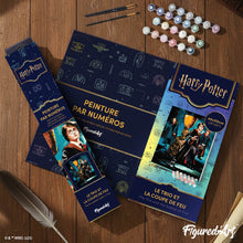 Afbeelding in Gallery-weergave laden, Schilderen op Nummer - Harry Potter - Het Trio en de Vuurbeker