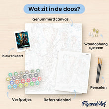 Afbeelding in Gallery-weergave laden, Schilderen op Nummer - Harry Potter - Het Trio en de Vuurbeker