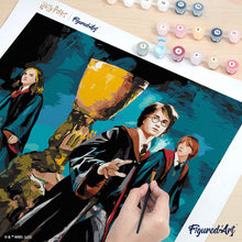Afbeelding in Gallery-weergave laden, Schilderen op Nummer - Harry Potter - Het Trio en de Vuurbeker