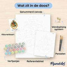 Afbeelding in Gallery-weergave laden, Schilderen op Nummer - Harry Potter - Hogwarts-wapenschilden