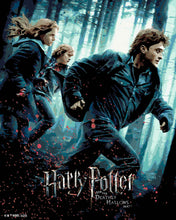 Afbeelding in Gallery-weergave laden, Schilderen op Nummer - Harry Potter en de Relieken van de Dood - Deel 1 - Poster