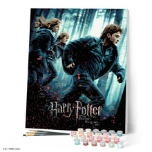 Afbeelding in Gallery-weergave laden, Schilderen op Nummer - Harry Potter en de Relieken van de Dood - Deel 1 - Poster