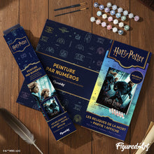 Afbeelding in Gallery-weergave laden, Schilderen op Nummer - Harry Potter en de Relieken van de Dood - Deel 1 - Poster