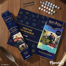 Afbeelding in Gallery-weergave laden, Schilderen op Nummer - Harry Potter - Hogwarts Express