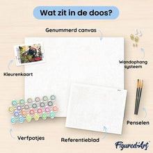 Afbeelding in Gallery-weergave laden, Schilderen op Nummer - Harry Potter - Hogwarts Express