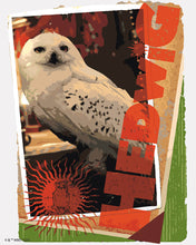 Afbeelding in Gallery-weergave laden, Schilderen op Nummer - Harry Potter - Hedwig-kaart