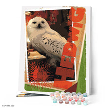 Afbeelding in Gallery-weergave laden, Schilderen op Nummer - Harry Potter - Hedwig-kaart