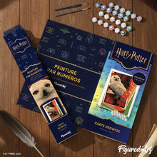 Afbeelding in Gallery-weergave laden, Schilderen op Nummer - Harry Potter - Hedwig-kaart