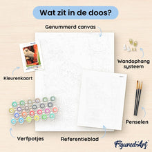 Afbeelding in Gallery-weergave laden, Schilderen op Nummer - Harry Potter - Hedwig-kaart
