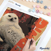 Afbeelding in Gallery-weergave laden, Schilderen op Nummer - Harry Potter - Hedwig-kaart