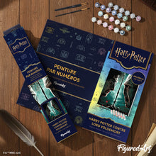 Afbeelding in Gallery-weergave laden, Schilderen op Nummer - Harry Potter tegen Lord Voldemort