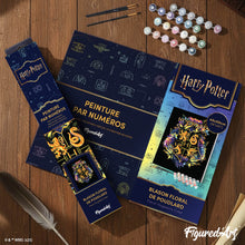 Afbeelding in Gallery-weergave laden, Schilderen op Nummer - Harry Potter - Bloemenwapen van Hogwarts