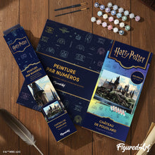 Afbeelding in Gallery-weergave laden, Schilderen op Nummer - Harry Potter - Hogwarts kasteel