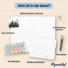 Afbeelding in Gallery-weergave laden, Schilderen op Nummer - Harry Potter - Hogwarts kasteel