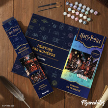 Afbeelding in Gallery-weergave laden, Schilderen op Nummer - Harry Potter - Diagon Alley